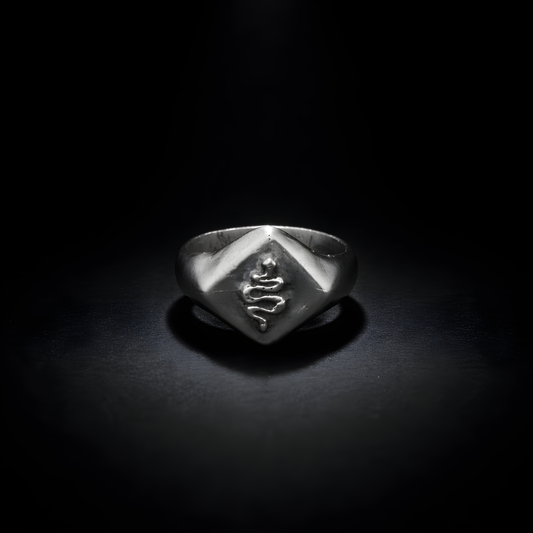 Serpent Signet - sterling silver jewelry